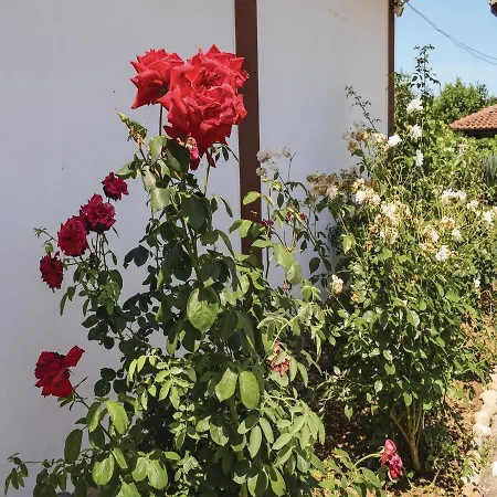 Сasa de vacaciones Six-bedroom Holiday In Village *